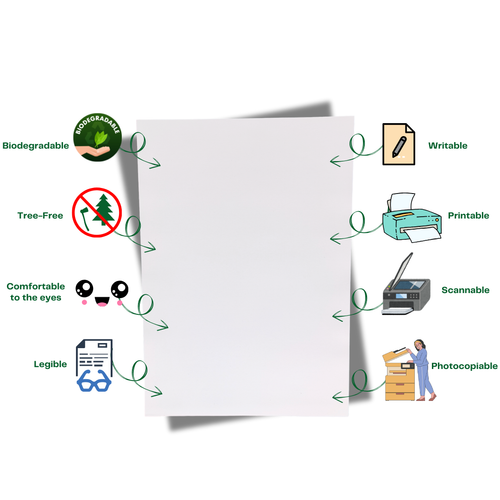 A4 Papers - Natural White