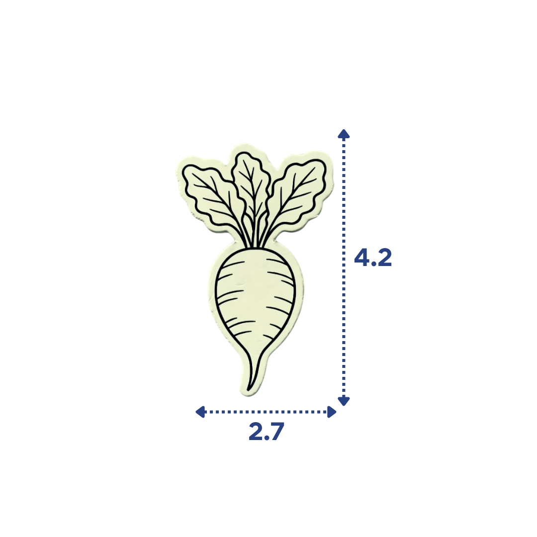 DIY Fridge Magnets - Vegetables Theme